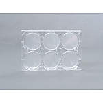 EZ SPHERE　イージースフェア４８１０－９００－Ｎ　５入