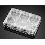 ファルコン　プレート３５１１４６　５０入