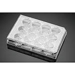 コンパニオンプレート