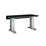 Type250（重量タイプ）　最大積載質量：250kg（等分布質量）