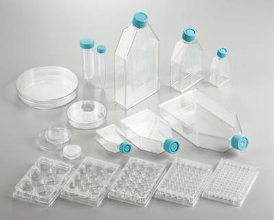 Thermo Scientific BioLite 細胞培養容器 ｜ 新商品のご案内 │ 株式