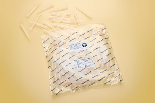 epT.I.P.S. BioBased ｽﾀﾝﾀﾞｰﾄﾞ0.1-5 mL　0030080122　500本