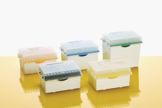 epT.I.P.S. BioBasedリロード(Biopur)20-300 μL 0030075447 480本