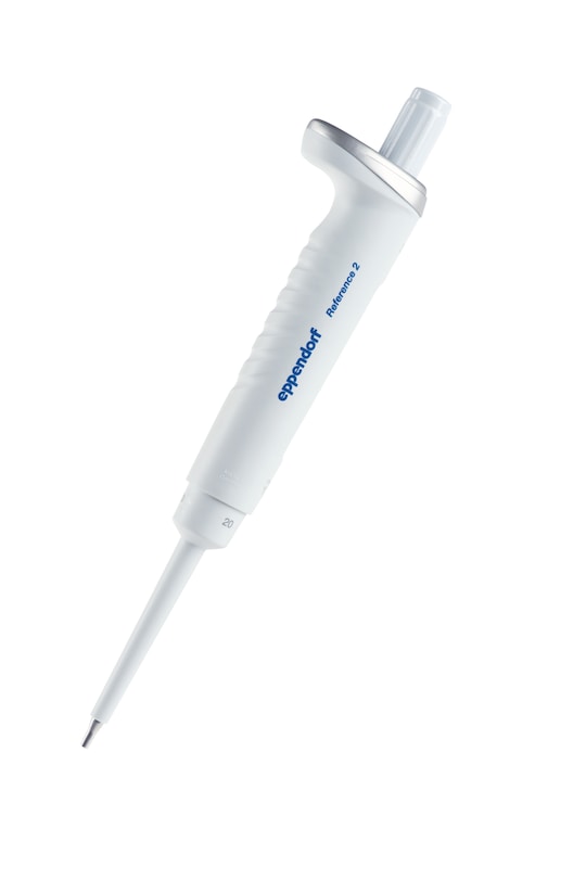 リファレンス 2 /F 20 μL / ライトグレー4925000065 1本