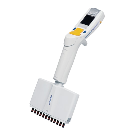 Xplorer 12チャンネル 15-300 μL4861000155　1本