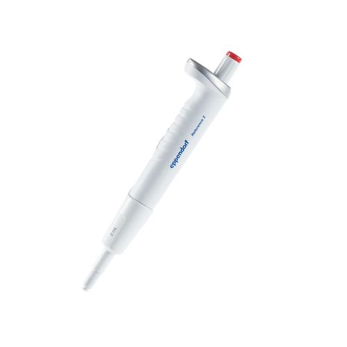 リファレンス　２　／Ｆ　２　ｍＬ4925000162　1本