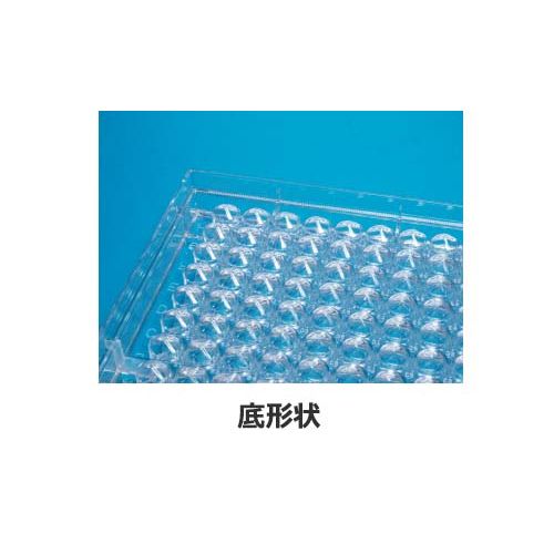 詳細画像1