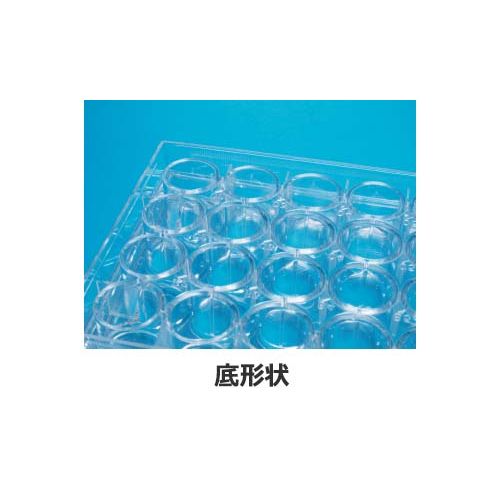 詳細画像1