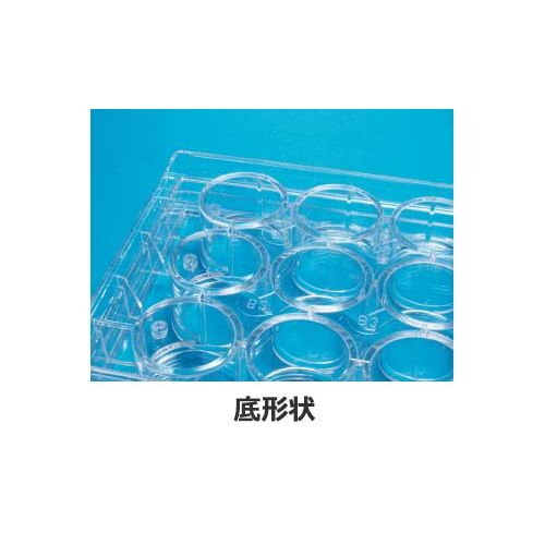 詳細画像1