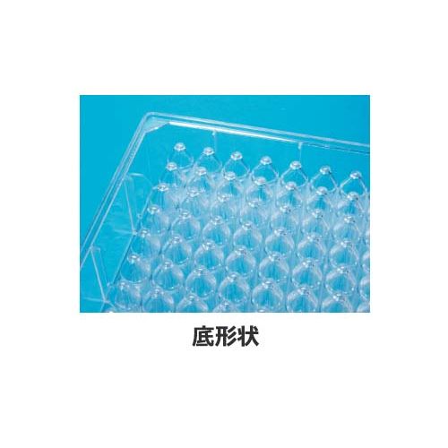 詳細画像1