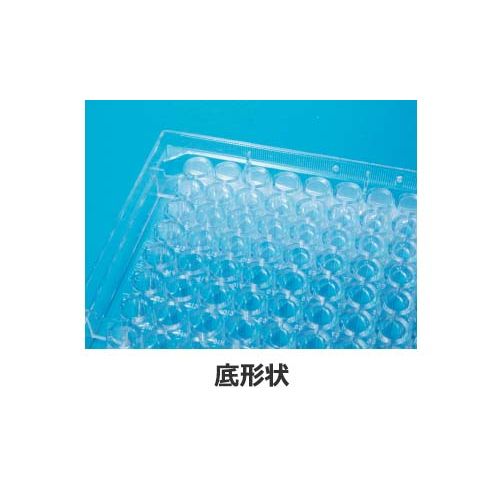 詳細画像1