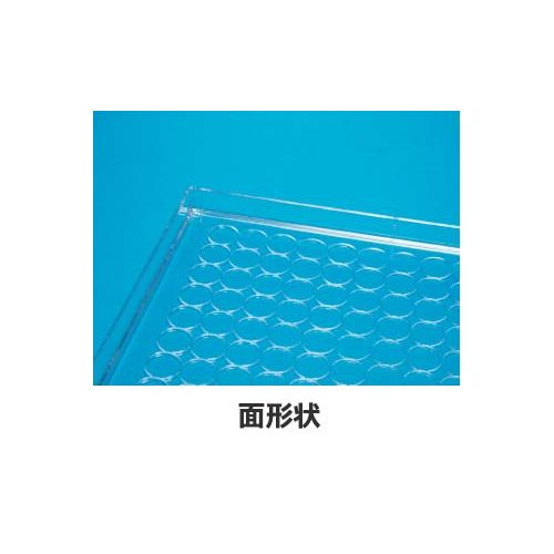 詳細画像1
