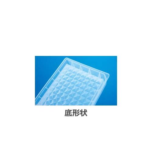 詳細画像1