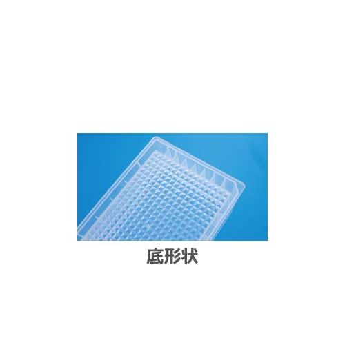 詳細画像1