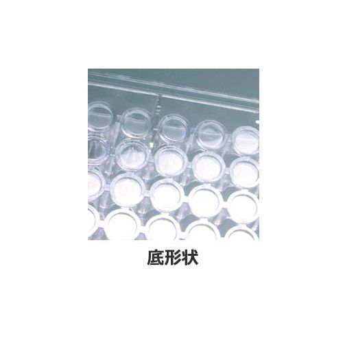 詳細画像1