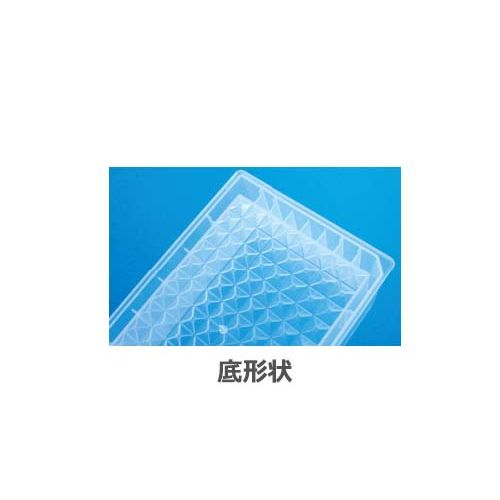 詳細画像1