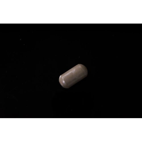 PEEK超磁回転子 ﾗｳﾝﾄﾞ型ﾈｵｼﾞﾑ磁石12×23mm　1個　VAB22123
